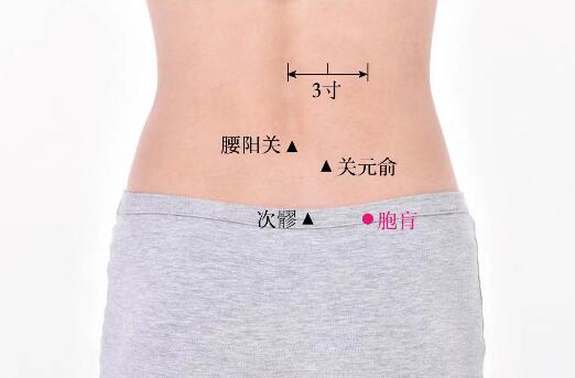 胞肓的準(zhǔn)確位置圖及功效視頻位位置圖