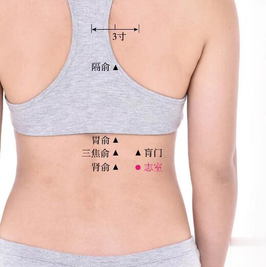  志室的準(zhǔn)確位置圖及功效視頻位位置圖