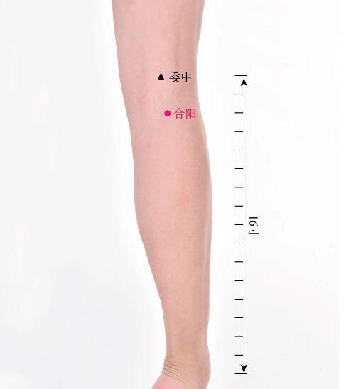 合陽的準(zhǔn)確位置圖及功效視頻位位置圖