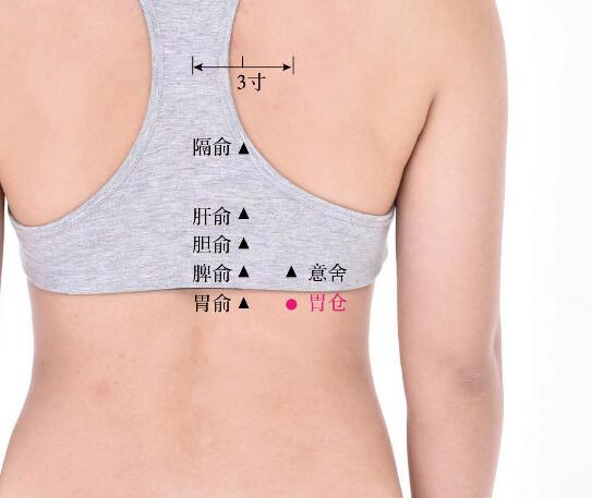 胃?jìng)}的準(zhǔn)確位置圖及功效視頻位位置圖