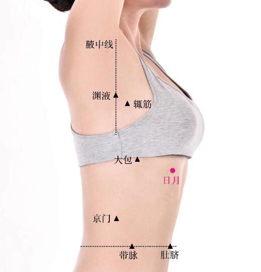 日月的準(zhǔn)確位置圖及功效視頻位位置圖
