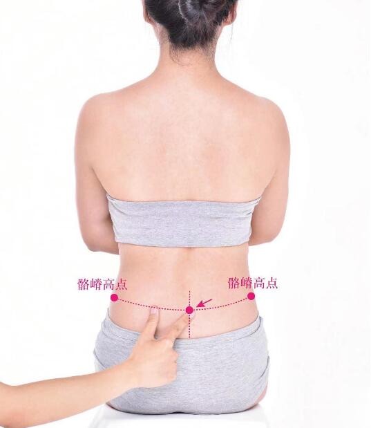腰陽關(guān)的準(zhǔn)確位置圖及功效視頻位位置圖