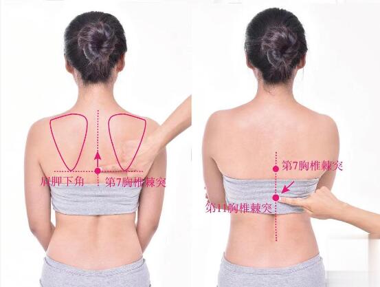 脊中的準(zhǔn)確位置圖及功效視頻位位置圖