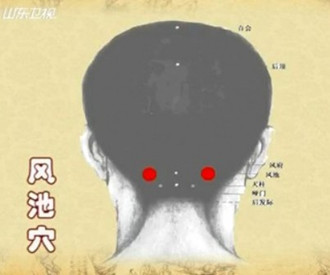 治療頭痛的穴位：風(fēng)池穴位圖