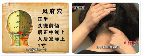 風(fēng)府穴位圖