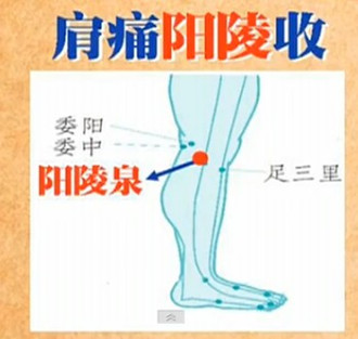 陽陵泉穴位圖