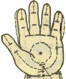 中醫(yī)穴位按摩之肝經(jīng)穴位圖