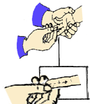 中醫(yī)穴位按摩之心經(jīng)穴位圖與補心經(jīng)的按摩手法