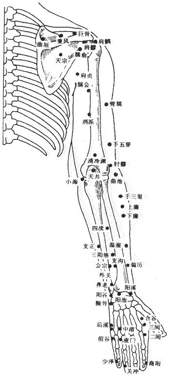 人體胳膊手部外側(cè)【穴位圖】