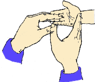 中醫(yī)穴位按摩之腎經(jīng)穴位圖與清腎經(jīng)的按摩手法