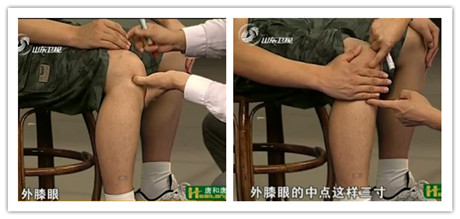 足三里穴的位置圖