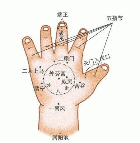 兒童手背穴位圖