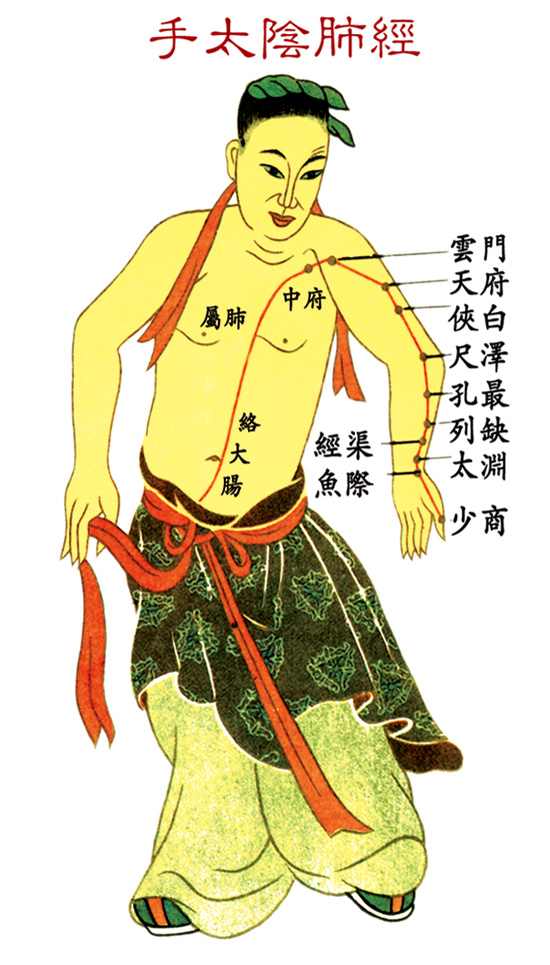 肺經(jīng)