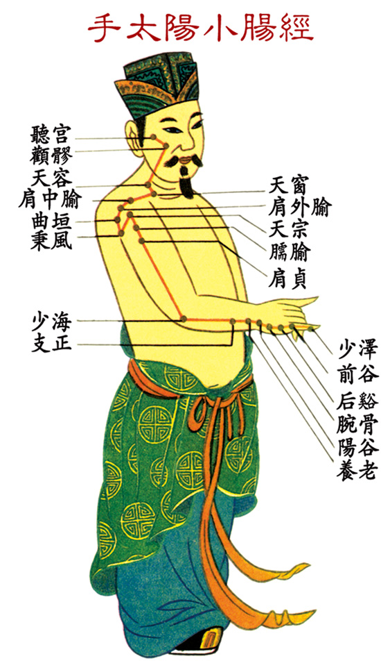 手太陽小腸經(jīng)