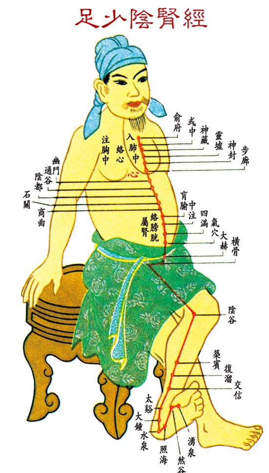 足少陰腎經