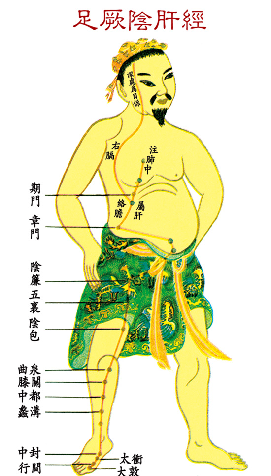 足厥陰肝經(jīng)
