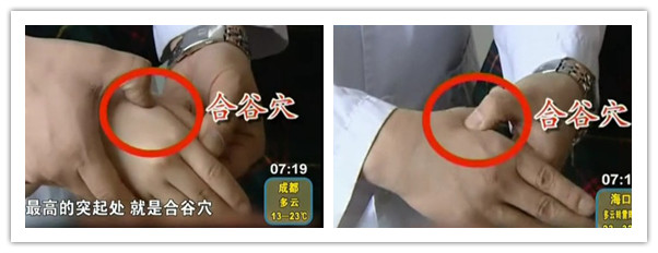 合谷穴的位置圖