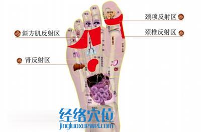  足部里療法：