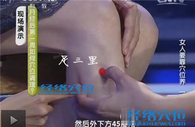 足三里穴的位置圖