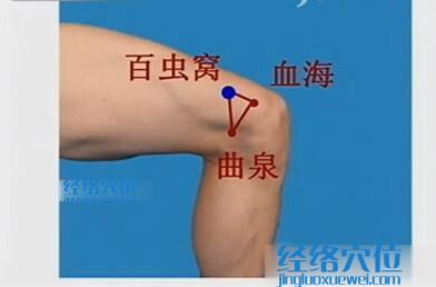 百蟲窩的準(zhǔn)確位置圖