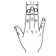 2寸 [同身寸法]示范圖