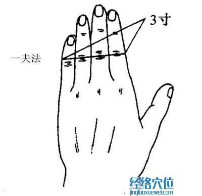 3寸比量方法（一夫法示范圖）