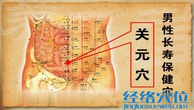 關(guān)元穴的準確位置圖