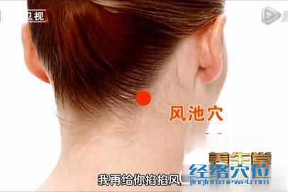 風(fēng)池穴的準確位置圖