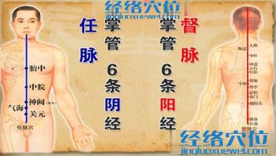 任脈和督脈