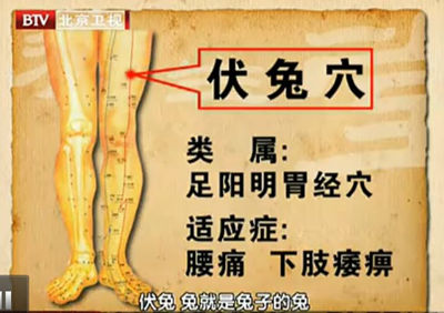 伏兔穴的作用與好處