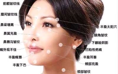 面部穴位面部穴位圖