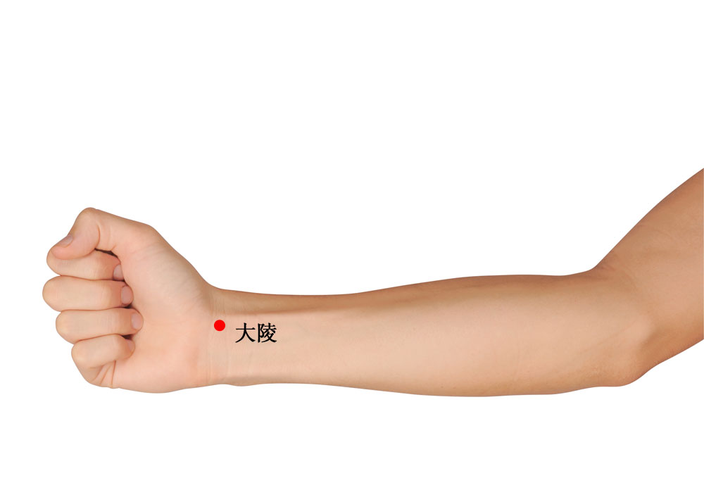 大陵穴位準確位置圖